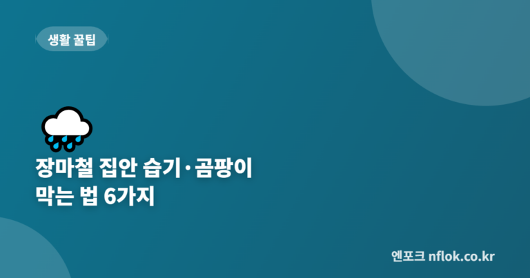 장마철 집안 습기·곰팡이 막는 법 6가지 – 빨래부터 벽지까지