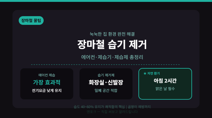 집 안 습기와 곰팡이 막는 법 — 미국 EPA·CDC 공식 권고 기준 정리